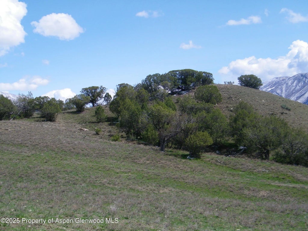 4 of 10 - 960 County Road 245, New Castle, CO