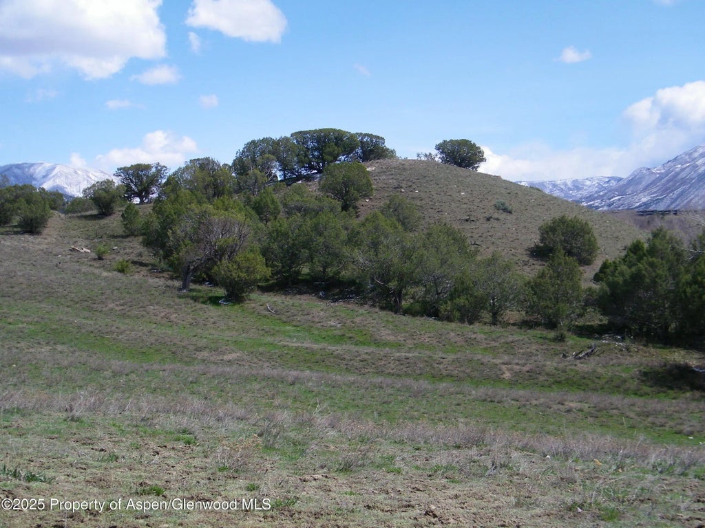 8 of 10 - 960 County Road 245, New Castle, CO