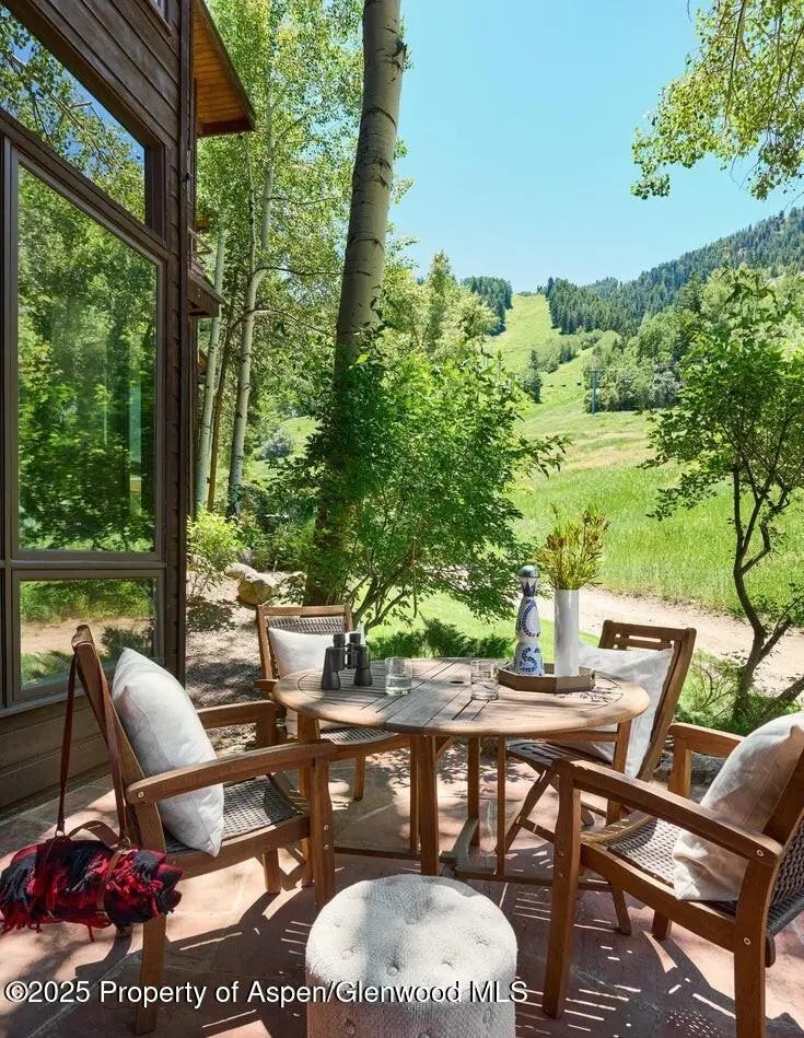 17 of 25 - 800 S Monarch Street 13, Aspen, CO