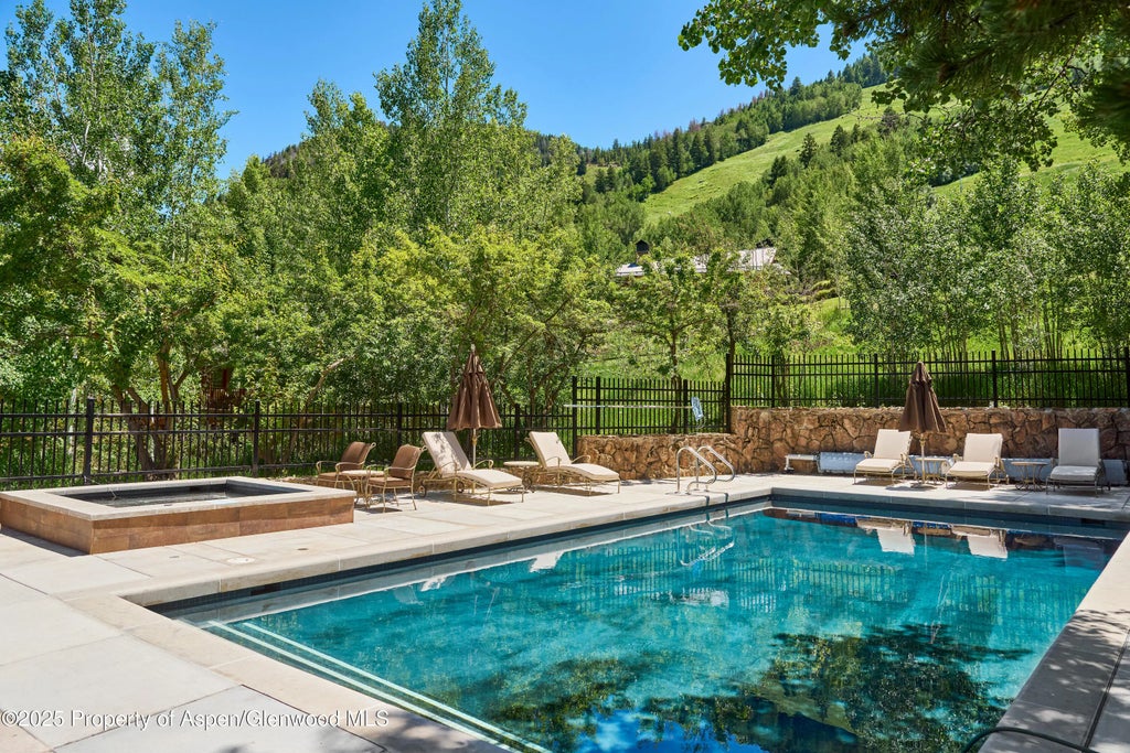 20 of 25 - 800 S Monarch Street 13, Aspen, CO