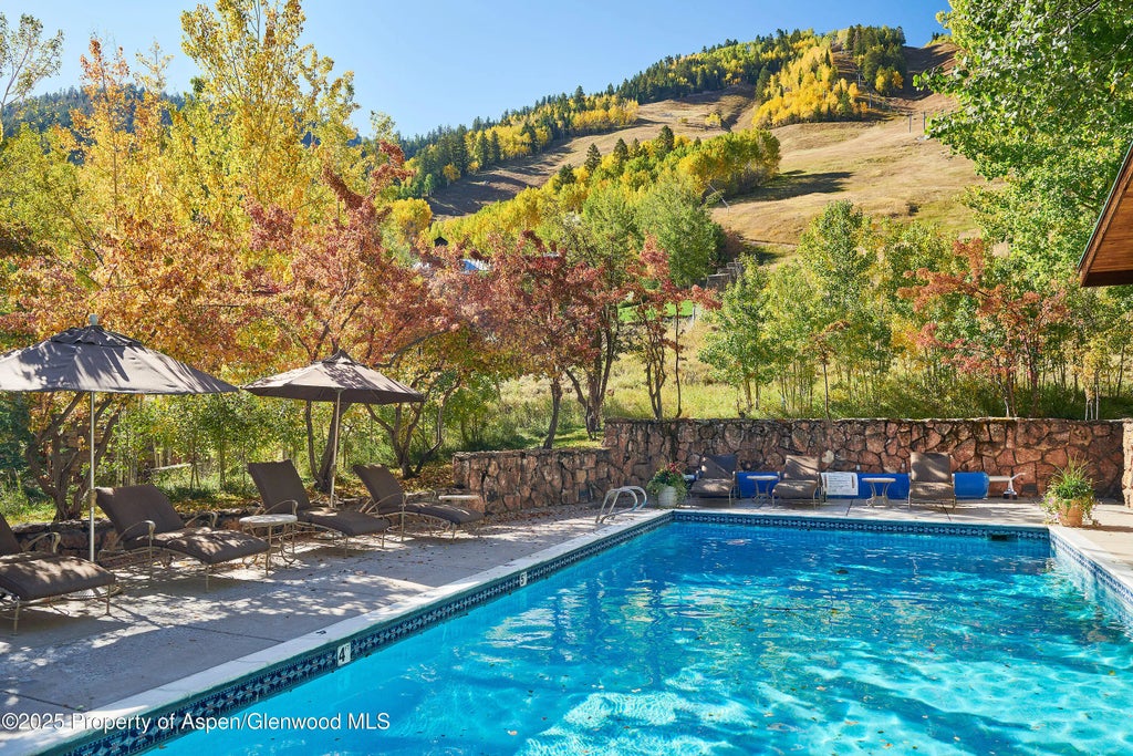 21 of 25 - 800 S Monarch Street 13, Aspen, CO