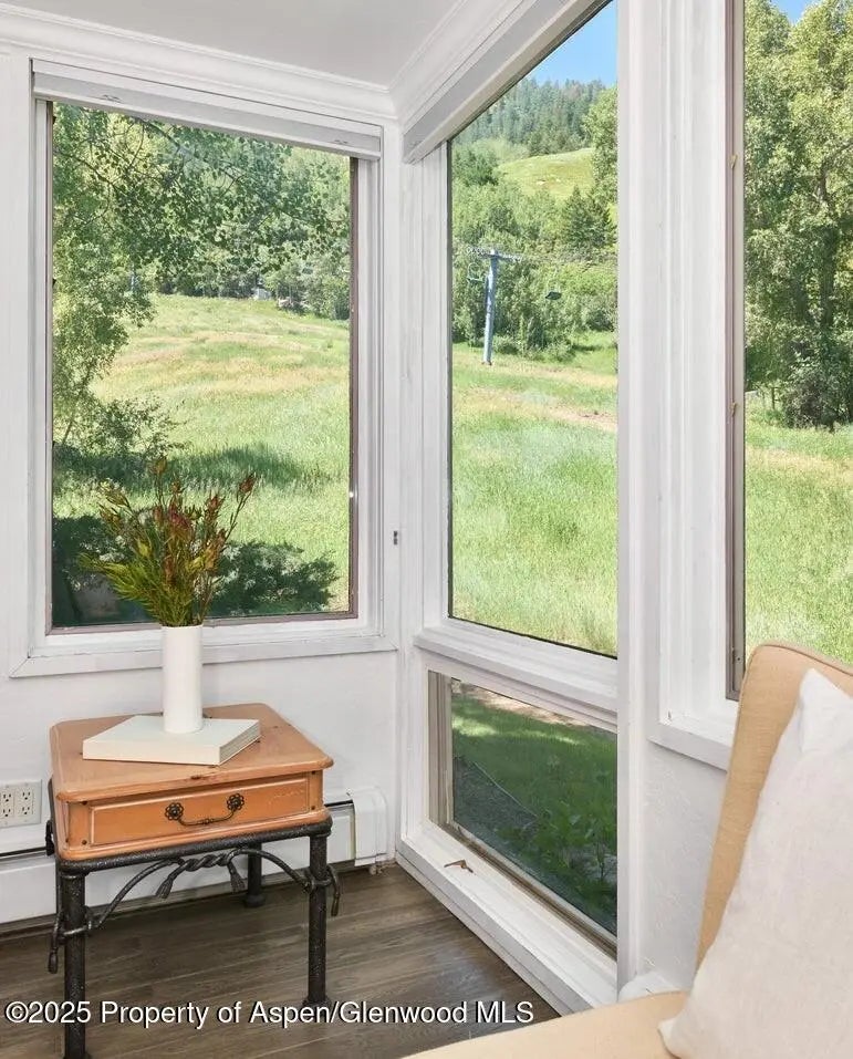 8 of 25 - 800 S Monarch Street 13, Aspen, CO