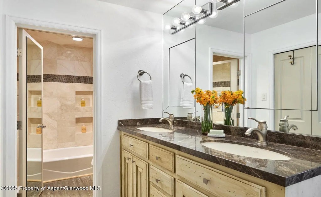 9 of 25 - 800 S Monarch Street 13, Aspen, CO