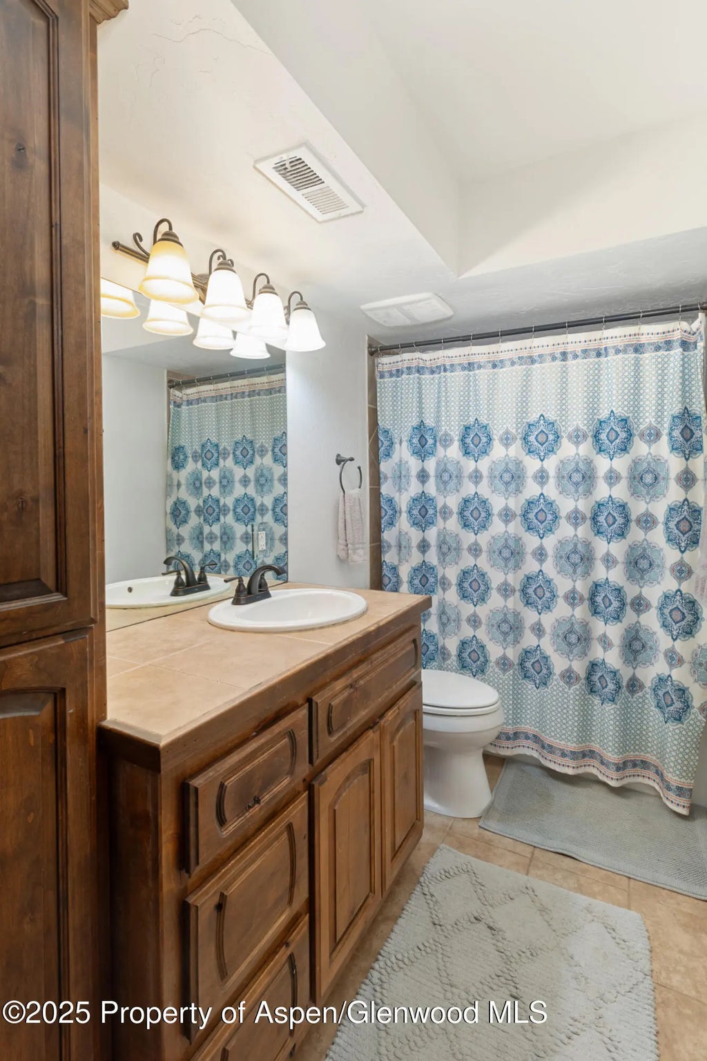 12 of 23 - 1468 W Main Street, Carbondale, CO