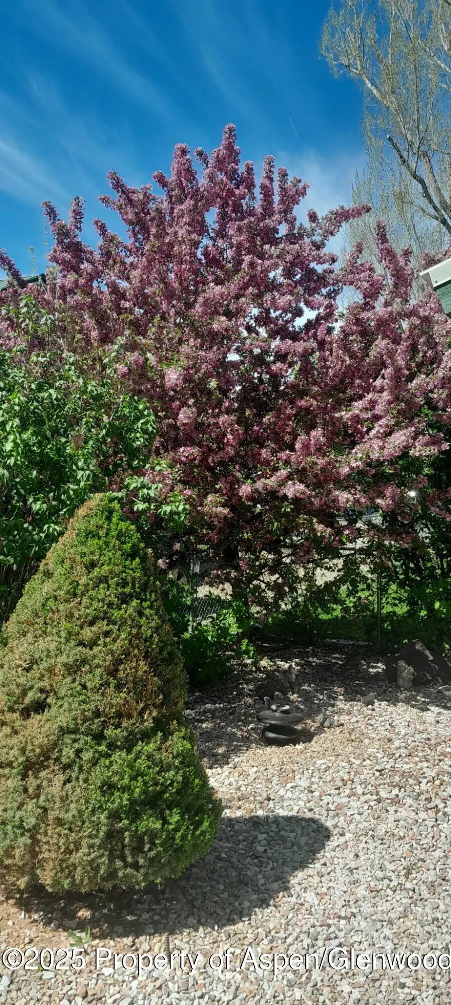 12 of 40 - 595 Colorado Street, Craig, CO