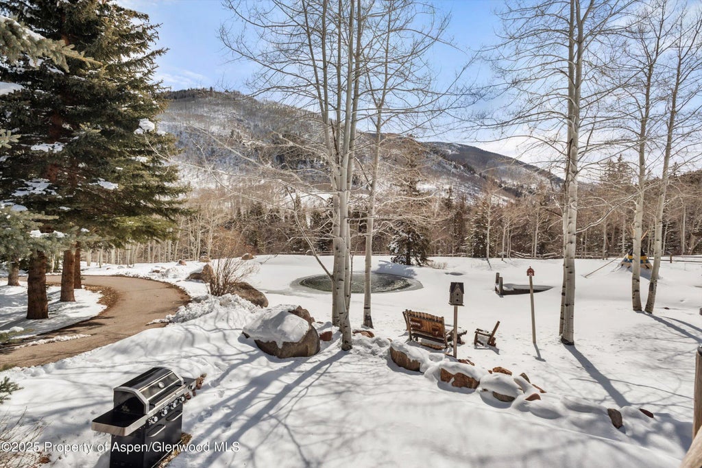 34 of 39 - 303 Conundrum Creek Road, Aspen, CO