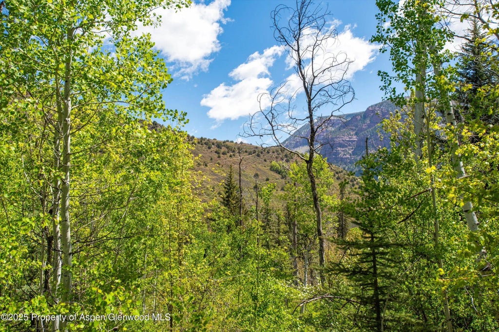 16 of 21 - Tbd Coal Creek Road, Redstone, CO