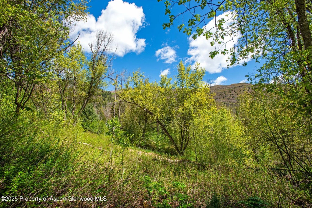 17 of 21 - Tbd Coal Creek Road, Redstone, CO
