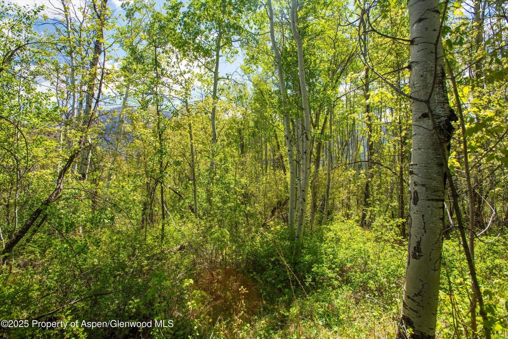 18 of 21 - Tbd Coal Creek Road, Redstone, CO