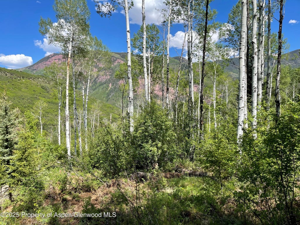 21 of 21 - Tbd Coal Creek Road, Redstone, CO