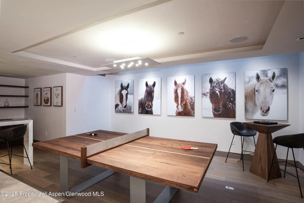 37 of 50 - 126 Juan Street, Aspen, CO