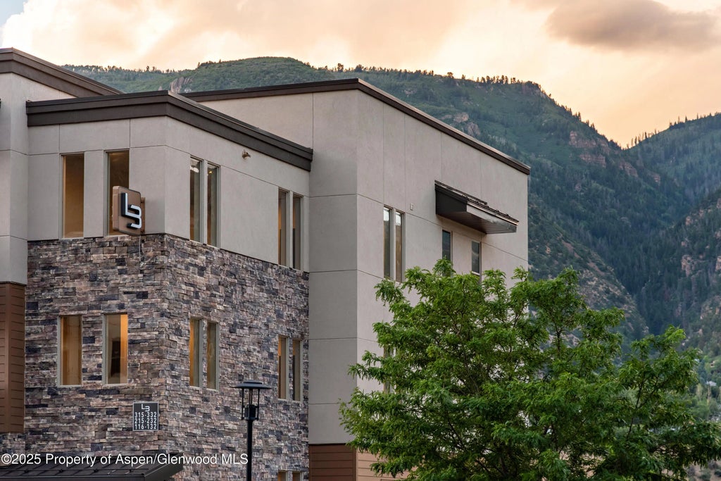 39 of 46 - 253 Wulfsohn Road 112, Glenwood Springs, CO