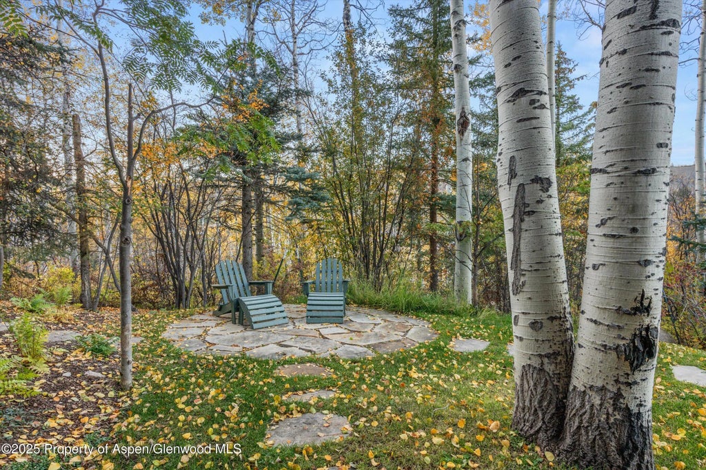 37 of 40 - 342 Ridge Road, Snowmass Village, CO