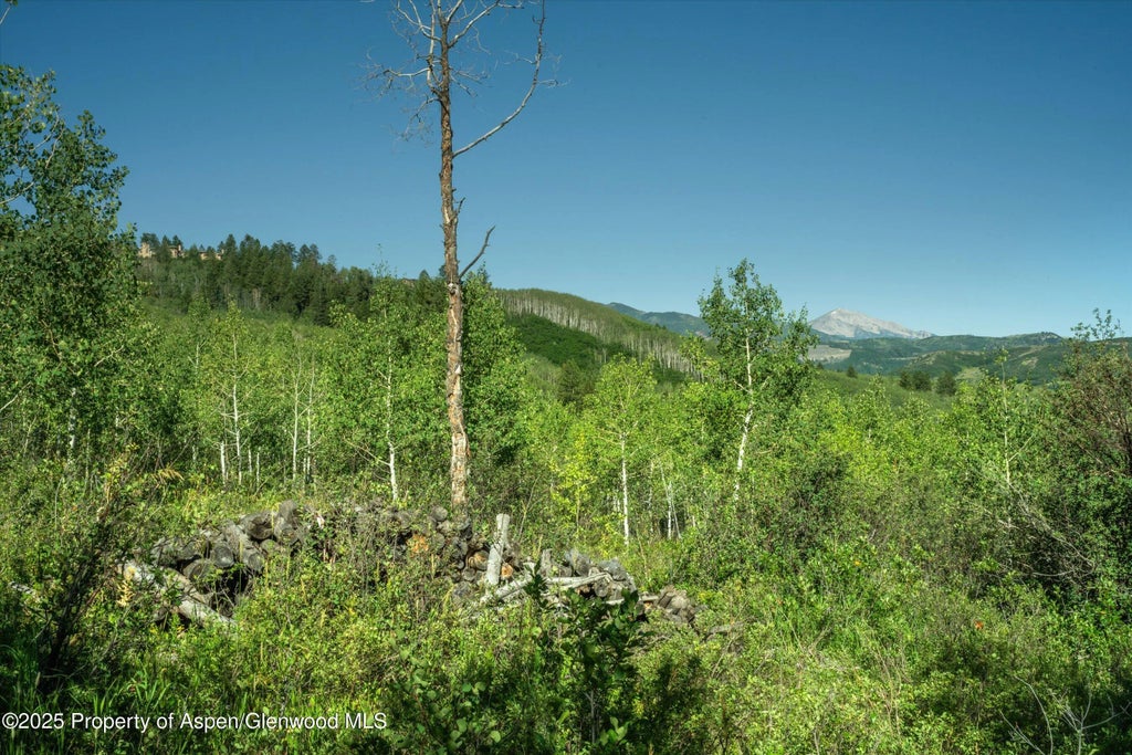10 of 30 - 1833 West Buttermilk Road, Aspen, CO