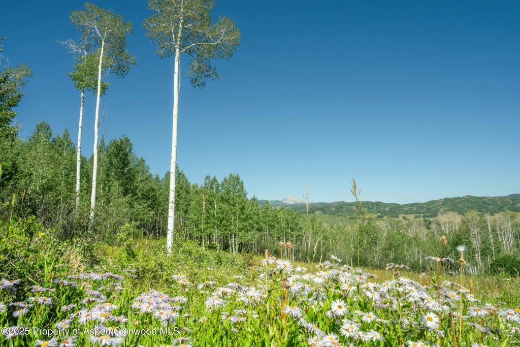 11 of 30 - 1833 West Buttermilk Road, Aspen, CO