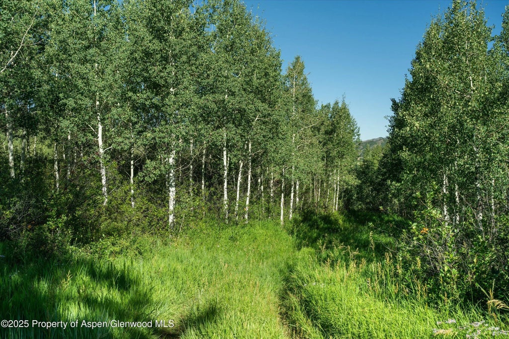 14 of 30 - 1833 West Buttermilk Road, Aspen, CO