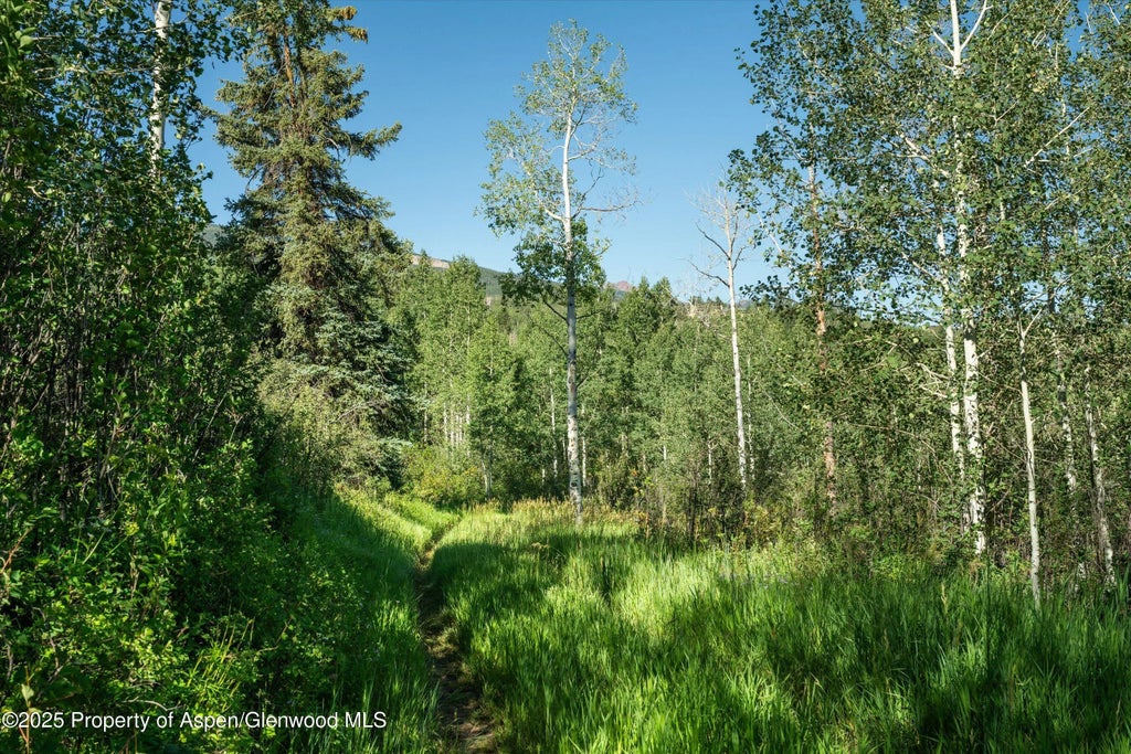 25 of 30 - 1833 West Buttermilk Road, Aspen, CO