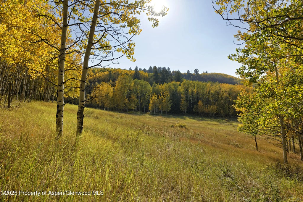 27 of 30 - 1833 West Buttermilk Road, Aspen, CO