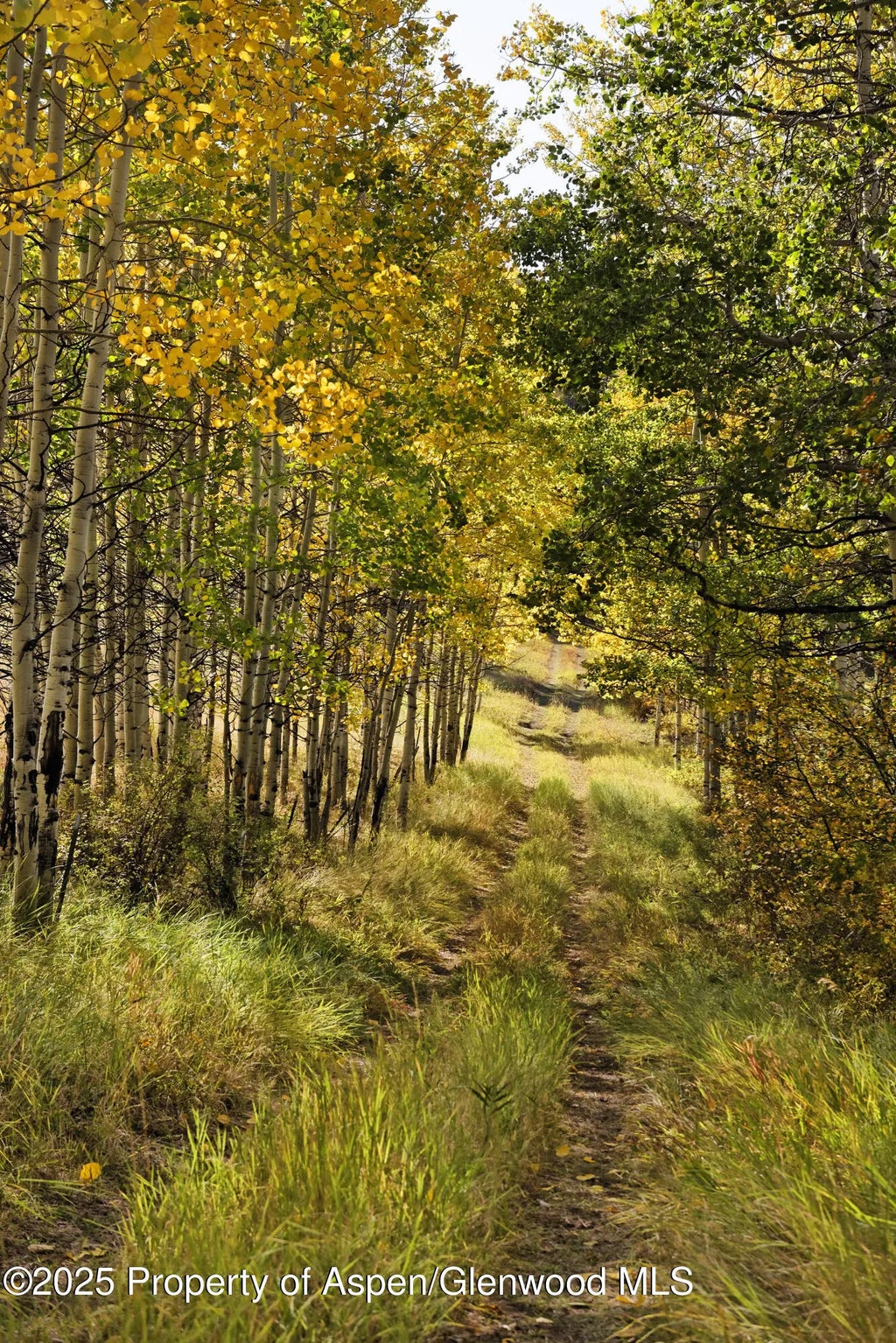 29 of 30 - 1833 West Buttermilk Road, Aspen, CO