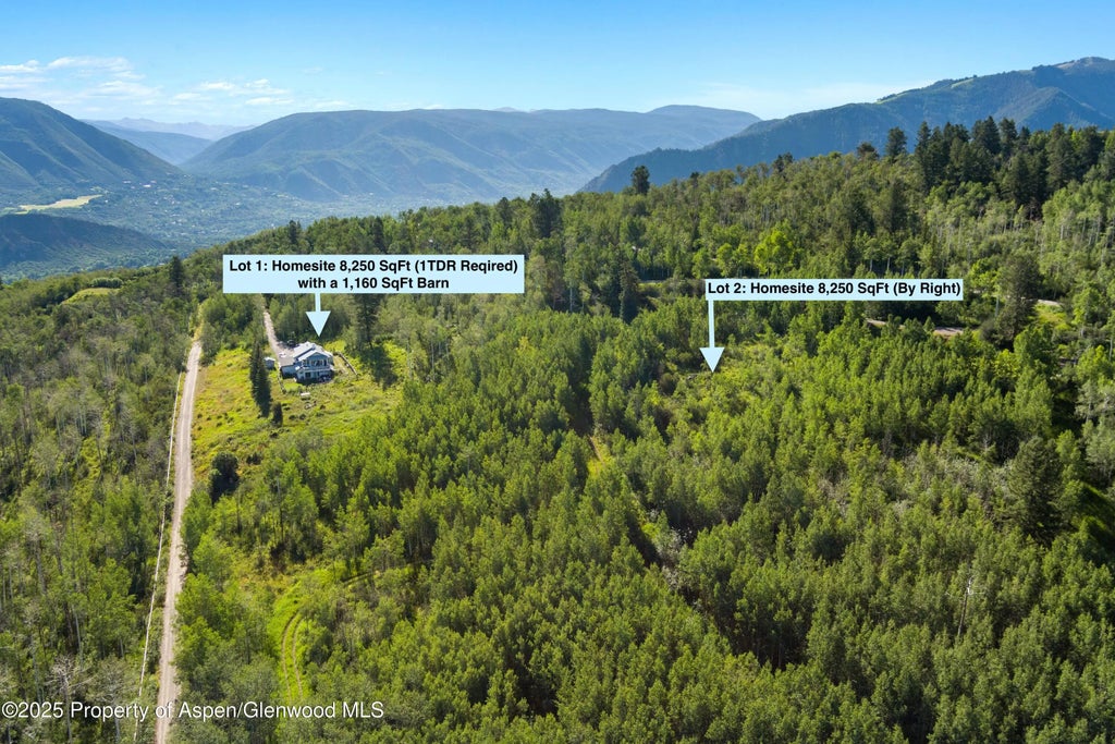 4 of 30 - 1833 West Buttermilk Road, Aspen, CO