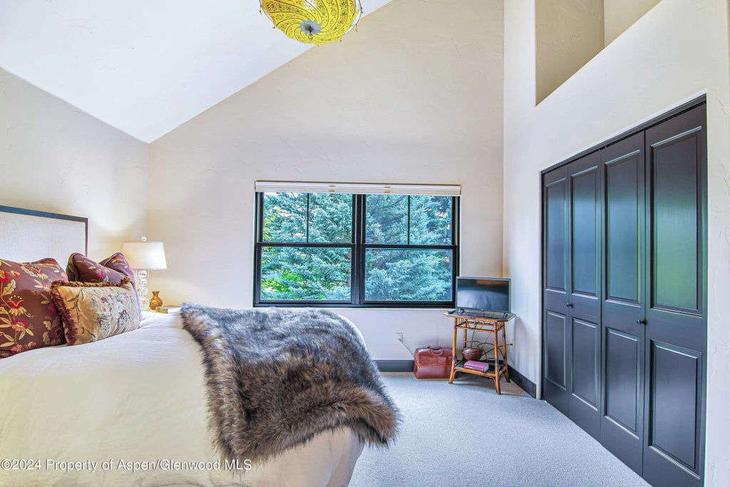 29 of 39 - 112 Golden Bear Drive, Carbondale, CO