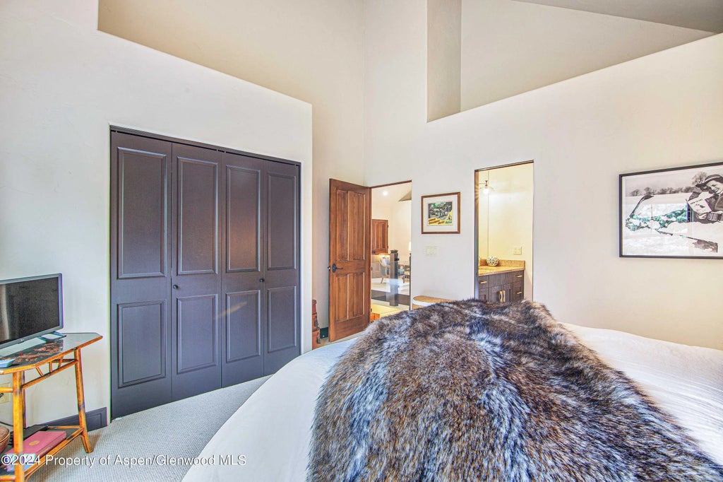 33 of 39 - 112 Golden Bear Drive, Carbondale, CO