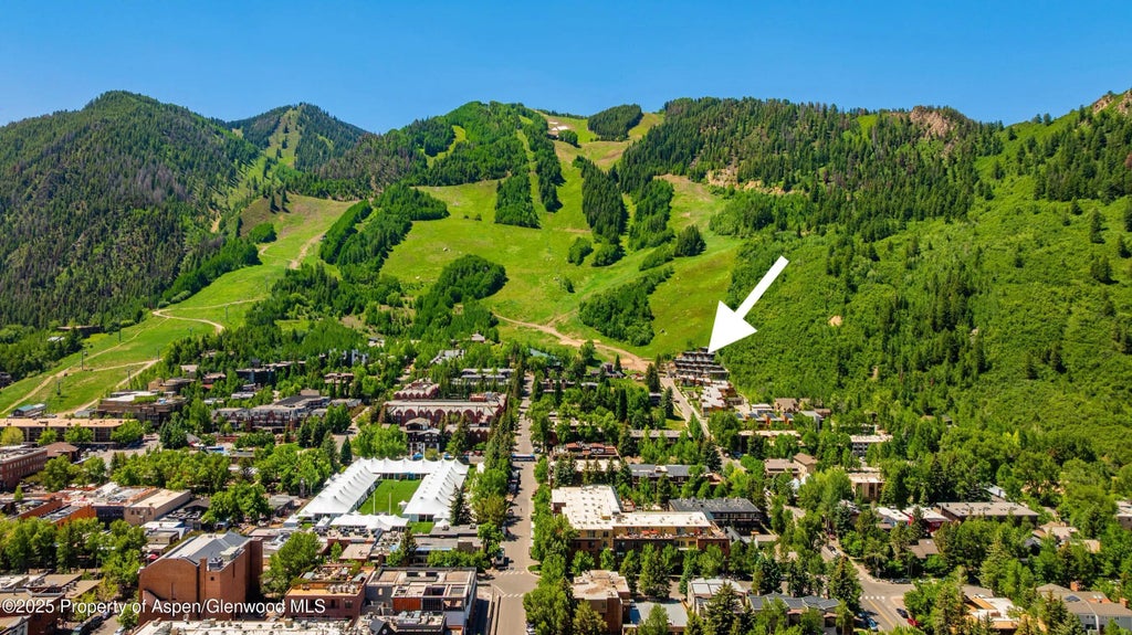 1 of 29 - 809 S Aspen Street 8, Aspen, CO