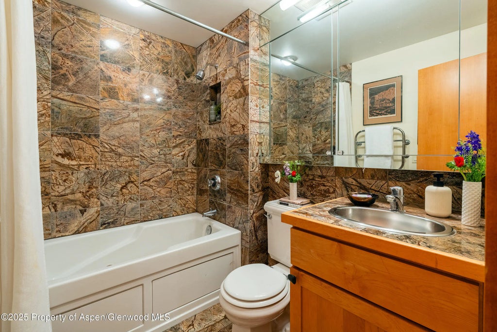 12 of 29 - 809 S Aspen Street 8, Aspen, CO