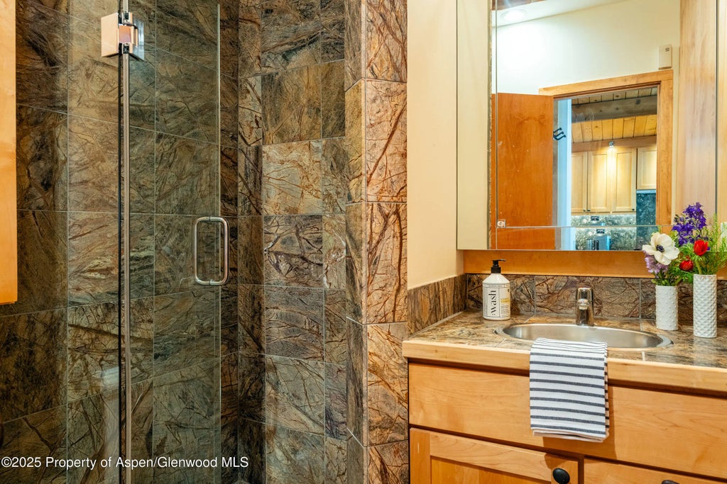 13 of 29 - 809 S Aspen Street 8, Aspen, CO