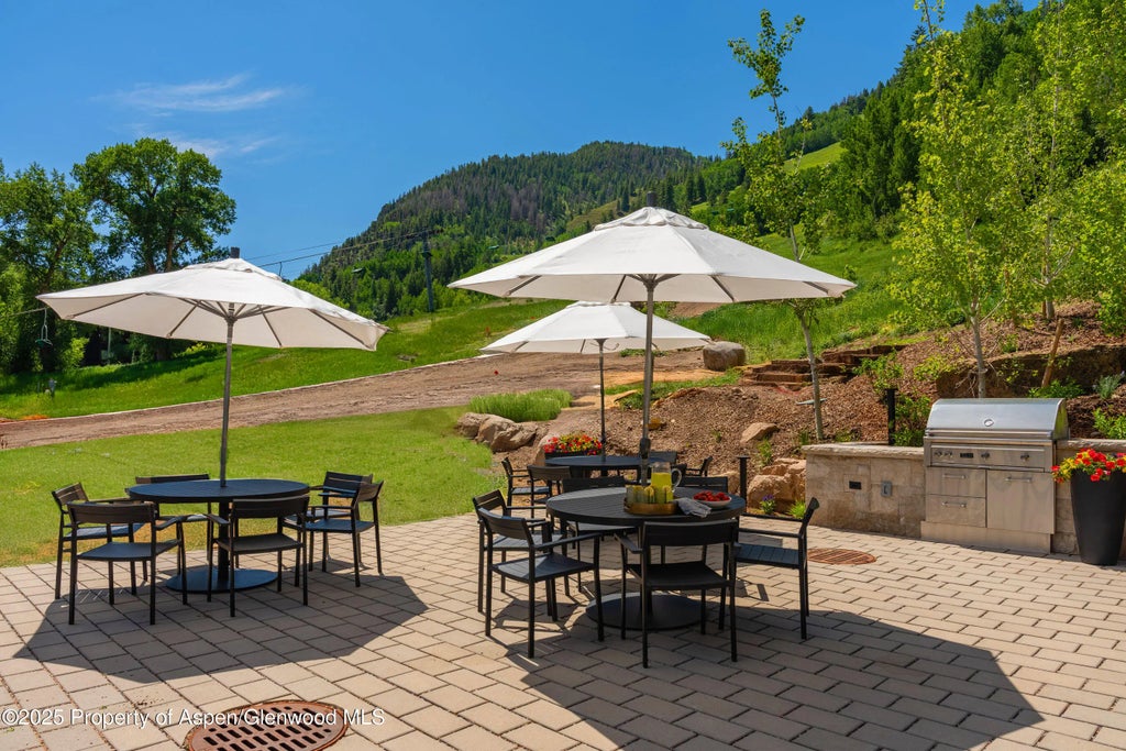14 of 29 - 809 S Aspen Street 8, Aspen, CO