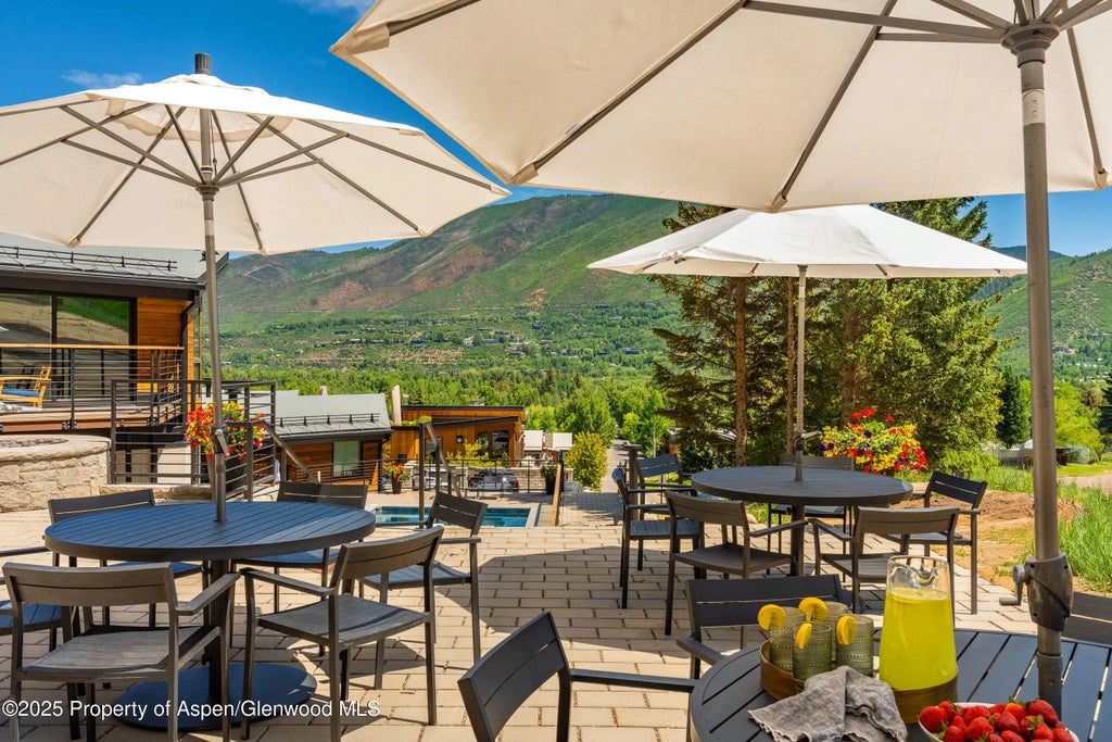 15 of 29 - 809 S Aspen Street 8, Aspen, CO