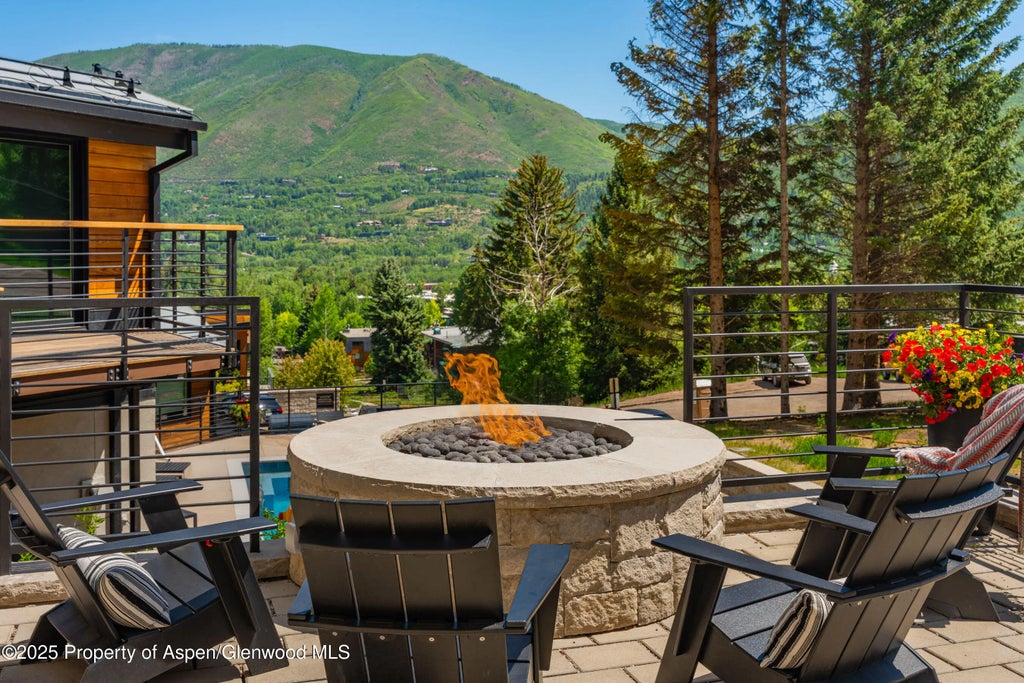 16 of 29 - 809 S Aspen Street 8, Aspen, CO