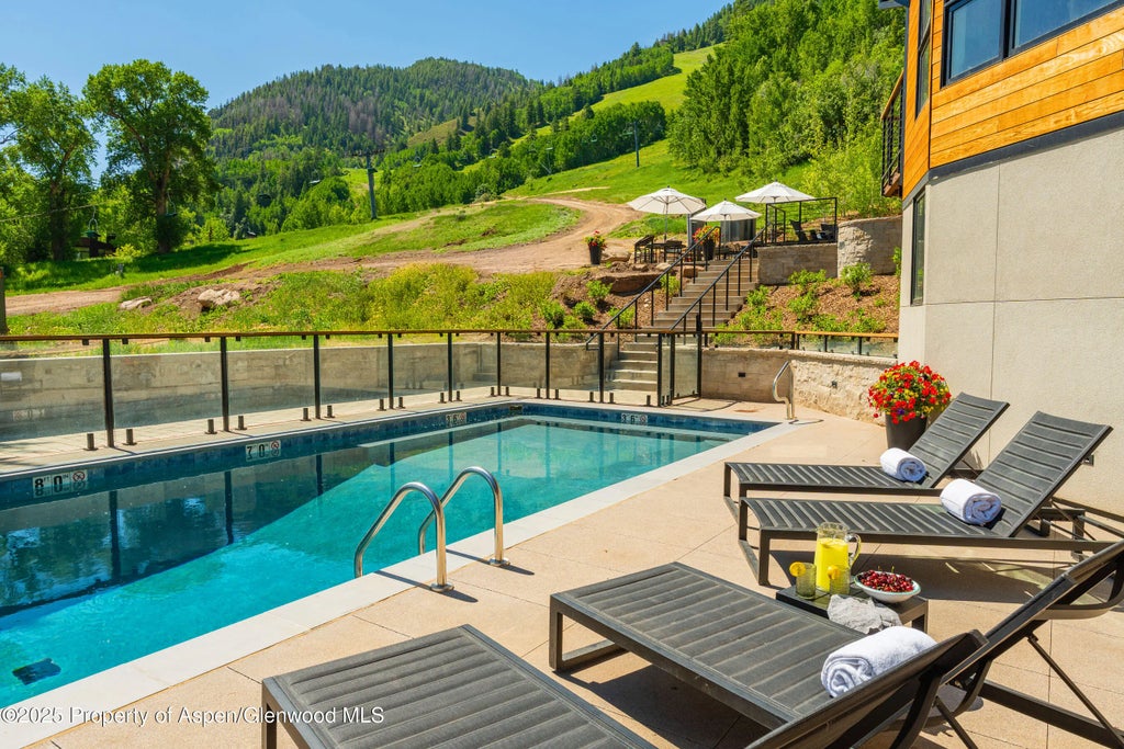17 of 29 - 809 S Aspen Street 8, Aspen, CO