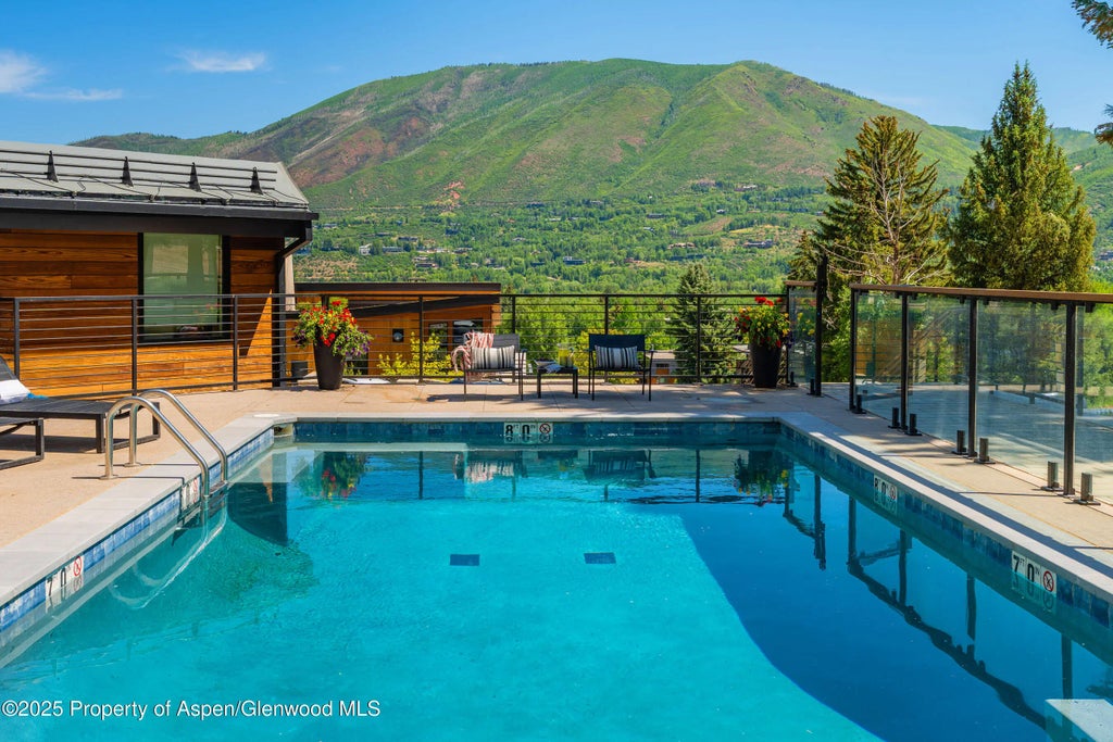 18 of 29 - 809 S Aspen Street 8, Aspen, CO