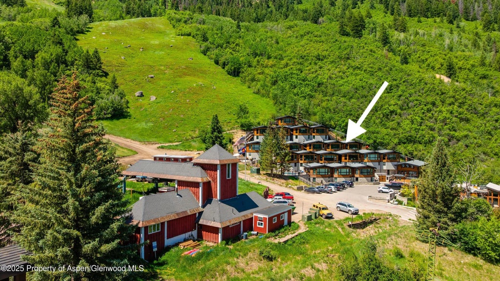 21 of 29 - 809 S Aspen Street 8, Aspen, CO