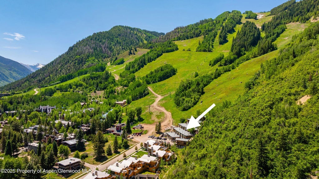 23 of 29 - 809 S Aspen Street 8, Aspen, CO