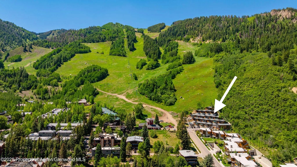 24 of 29 - 809 S Aspen Street 8, Aspen, CO