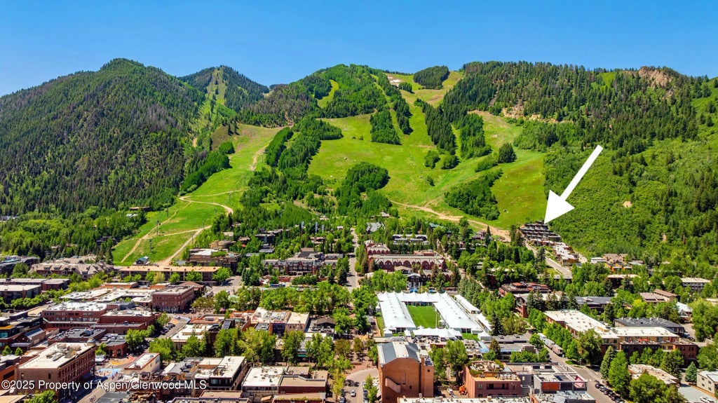 25 of 29 - 809 S Aspen Street 8, Aspen, CO