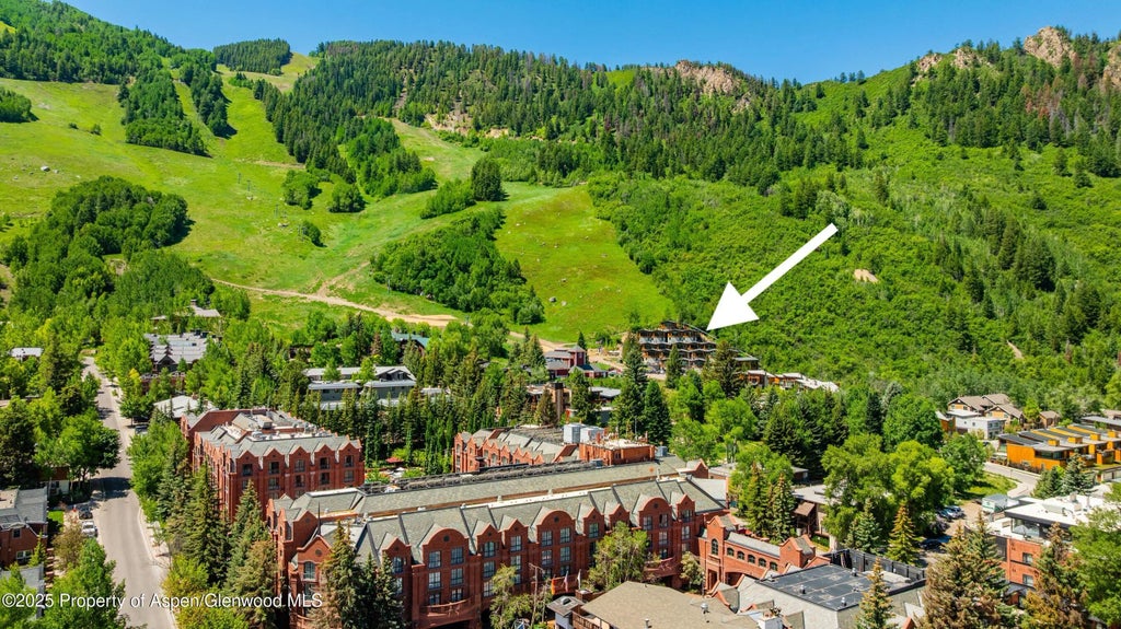 26 of 29 - 809 S Aspen Street 8, Aspen, CO