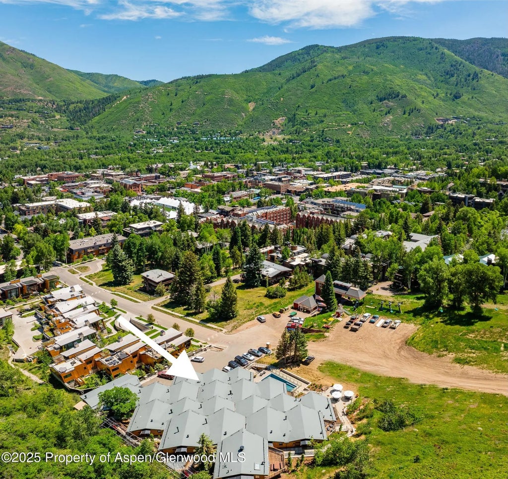 27 of 29 - 809 S Aspen Street 8, Aspen, CO