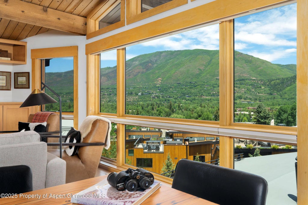 3 of 29 - 809 S Aspen Street 8, Aspen, CO