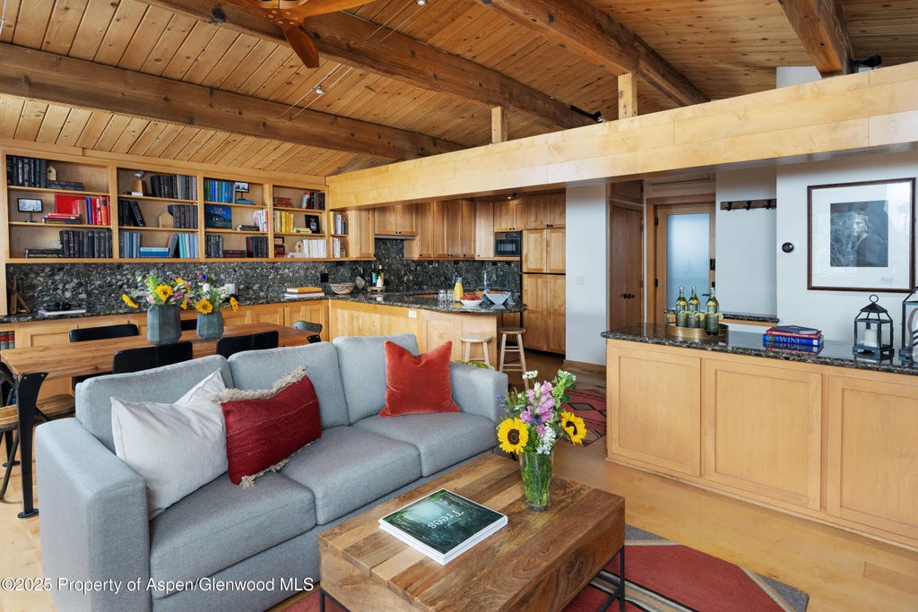 4 of 29 - 809 S Aspen Street 8, Aspen, CO