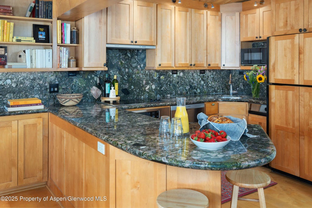 9 of 29 - 809 S Aspen Street 8, Aspen, CO