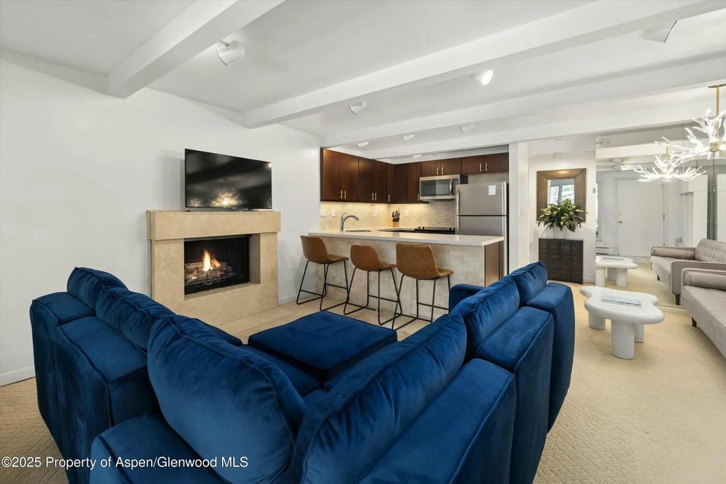 601 S S West End Street 7, Aspen