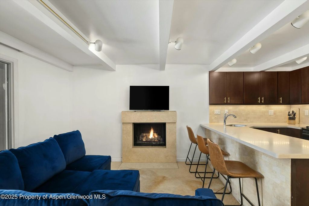 4 of 13 - 601 S S West End Street 7, Aspen, CO