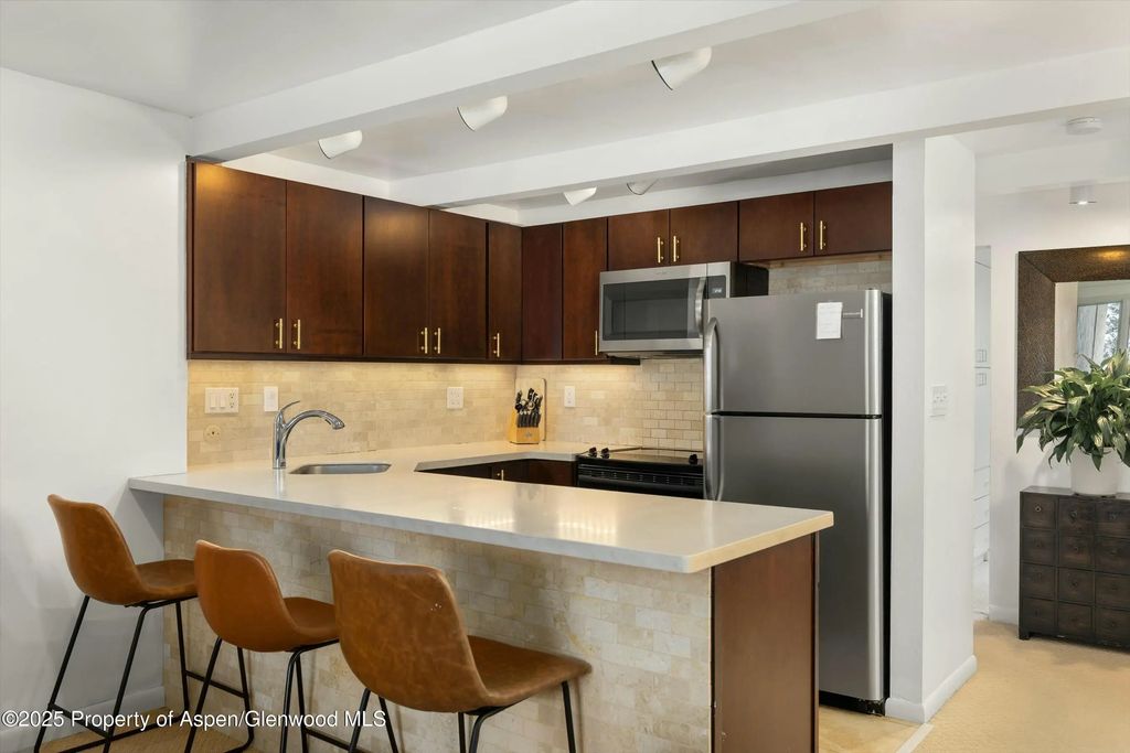 6 of 13 - 601 S S West End Street 7, Aspen, CO