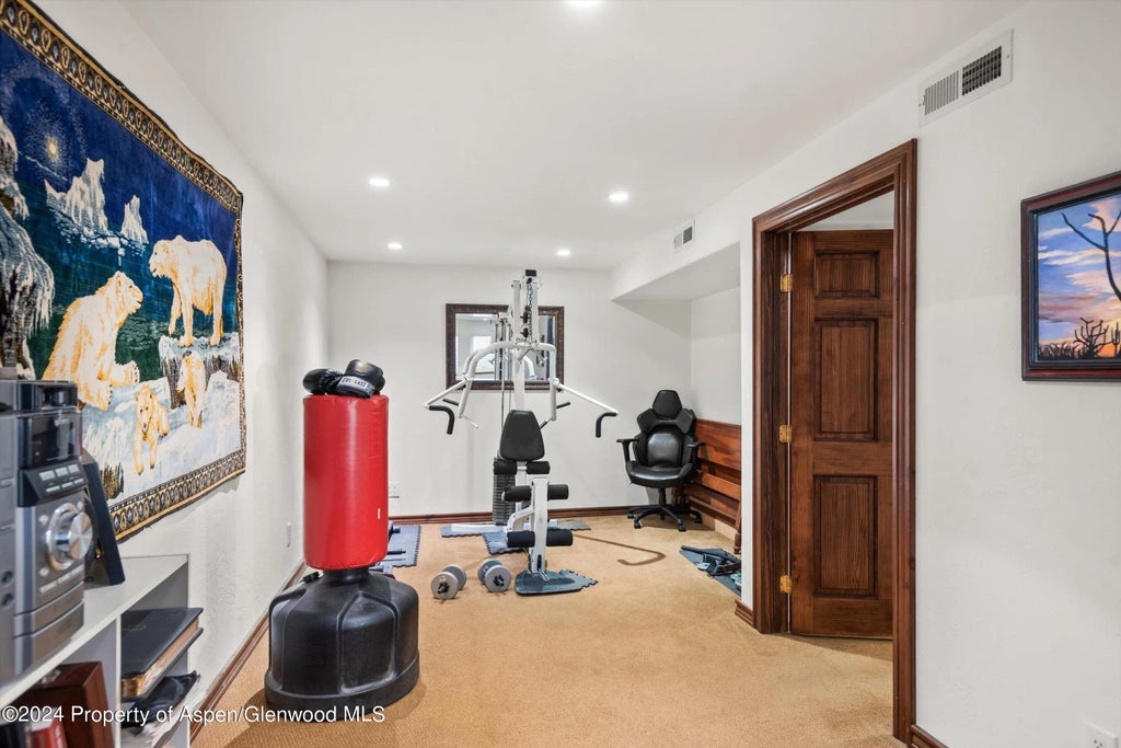 14 of 21 - 570 Redstone Avenue, Carbondale, CO