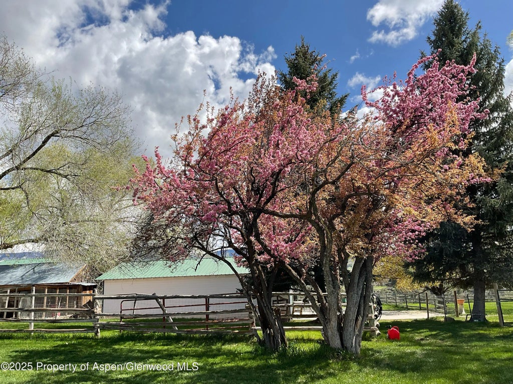 42 of 47 - 58590 Pe 3/10 Road, Collbran, CO