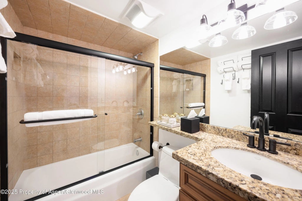 13 of 22 - 901 E Hyman Avenue 4, Aspen, CO