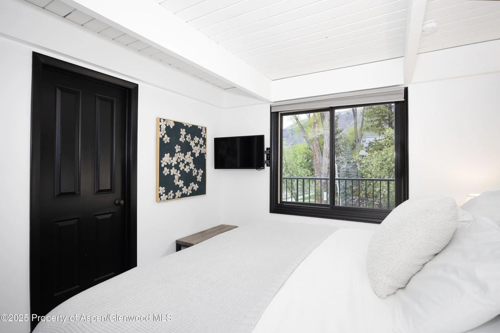 14 of 22 - 901 E Hyman Avenue 4, Aspen, CO